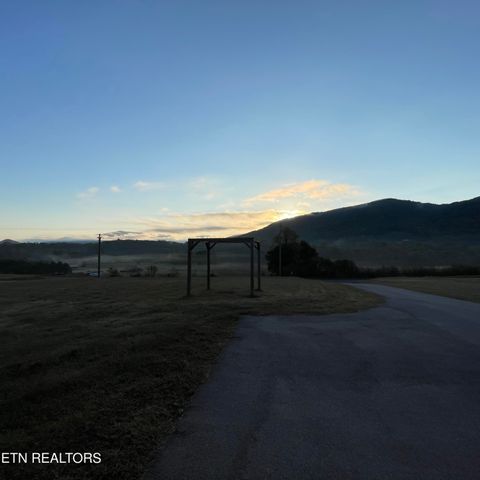 Tiny photo for 3863 Holders Grove Rd Rd, Cosby, TN 37722 (MLS # 1318502)