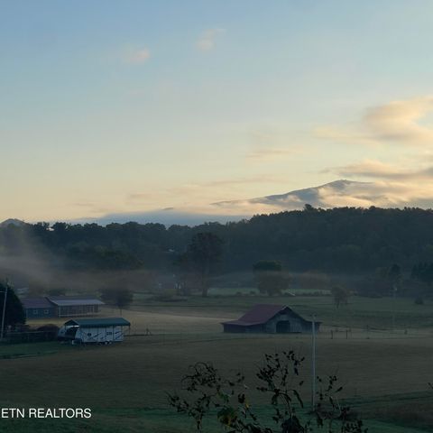 Tiny photo for 3863 Holders Grove Rd Rd, Cosby, TN 37722 (MLS # 1318502)