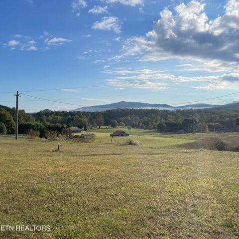 Tiny photo for 3863 Holders Grove Rd Rd, Cosby, TN 37722 (MLS # 1318502)