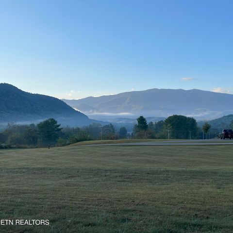 Tiny photo for 3863 Holders Grove Rd Rd, Cosby, TN 37722 (MLS # 1318502)
