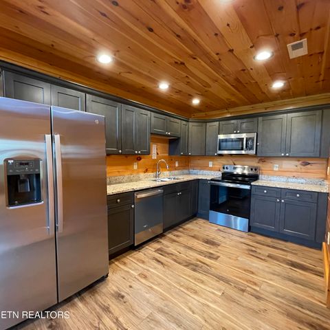 Tiny photo for 3863 Holders Grove Rd Rd, Cosby, TN 37722 (MLS # 1318502)