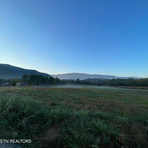 Tiny photo for 3863 Holders Grove Rd Rd, Cosby, TN 37722 (MLS # 1318502)