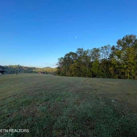 Tiny photo for 3863 Holders Grove Rd Rd, Cosby, TN 37722 (MLS # 1318502)