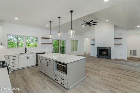 Tiny photo for 7600 GYNEVERE Drive, Knoxville, TN 37931 (MLS # 1325940)