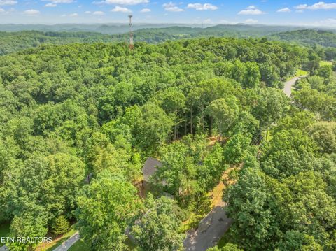 Tiny photo for 7600 GYNEVERE Drive, Knoxville, TN 37931 (MLS # 1325940)