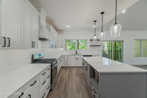 Tiny photo for 7600 GYNEVERE Drive, Knoxville, TN 37931 (MLS # 1325940)