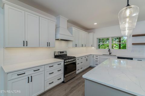 Tiny photo for 7600 GYNEVERE Drive, Knoxville, TN 37931 (MLS # 1325940)