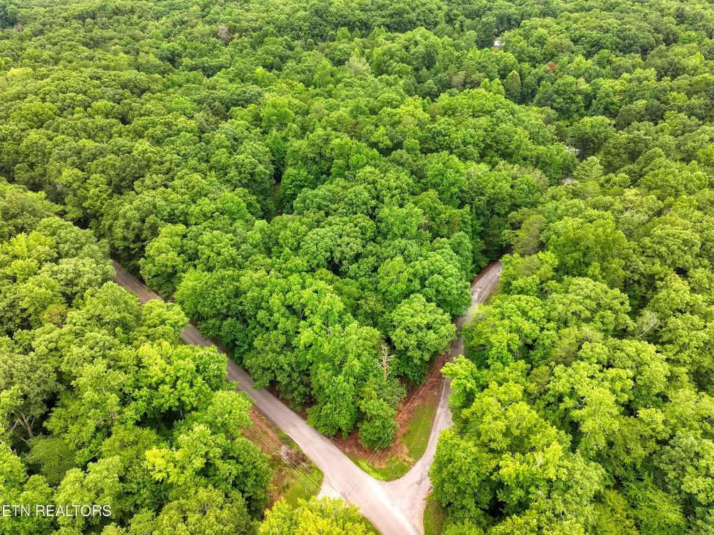 Photo of Lake Overlook Drive, Rockwood, TN 37854 (MLS # 1348544)