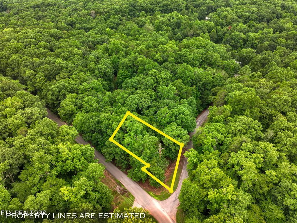 Photo of Lake Overlook Drive, Rockwood, TN 37854 (MLS # 1348544)
