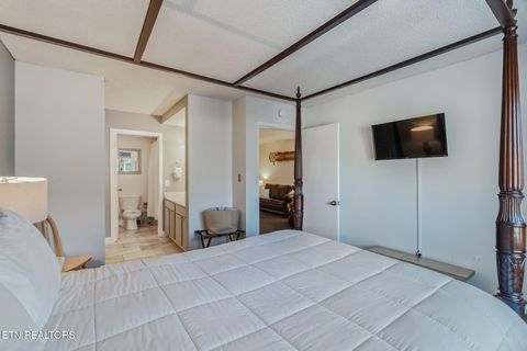 Tiny photo for 102 Baskins Creek Bypass Byp #207, Gatlinburg, TN 37738 (MLS # 1325715)