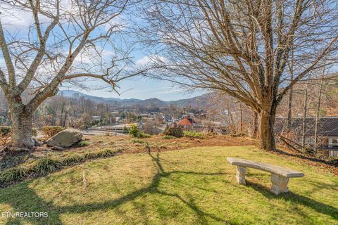Tiny photo for 102 Baskins Creek Bypass Byp #207, Gatlinburg, TN 37738 (MLS # 1325715)