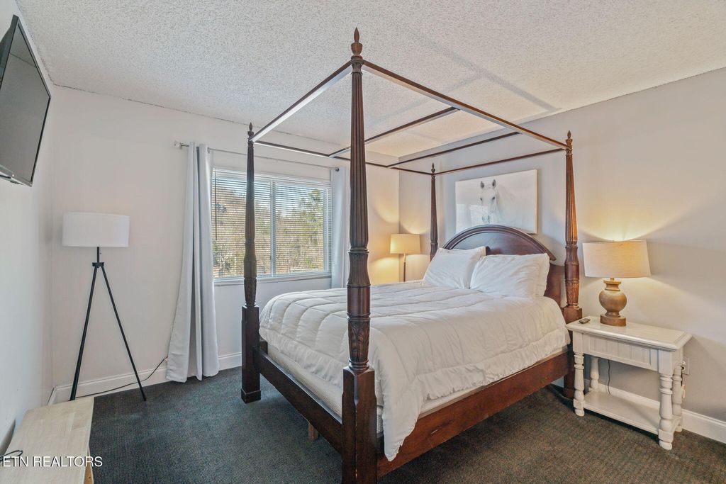 Photo of 102 Baskins Creek Bypass Byp #207, Gatlinburg, TN 37738 (MLS # 1325715)