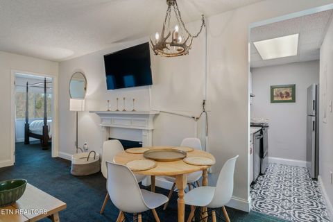 Tiny photo for 102 Baskins Creek Bypass Byp #207, Gatlinburg, TN 37738 (MLS # 1325715)