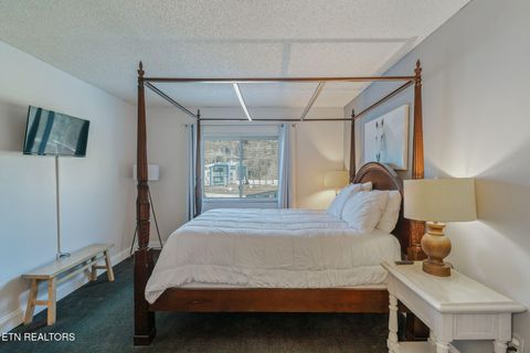 Tiny photo for 102 Baskins Creek Bypass Byp #207, Gatlinburg, TN 37738 (MLS # 1325715)