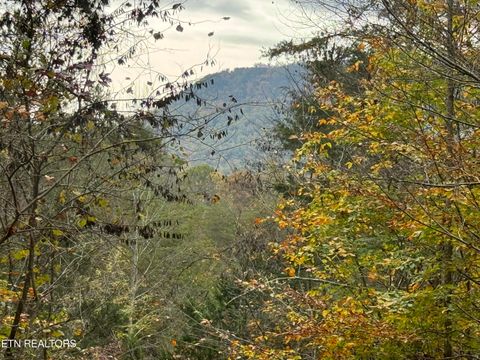 Sugar Loaf -13.5 acres Rd Sevierville TN 37876