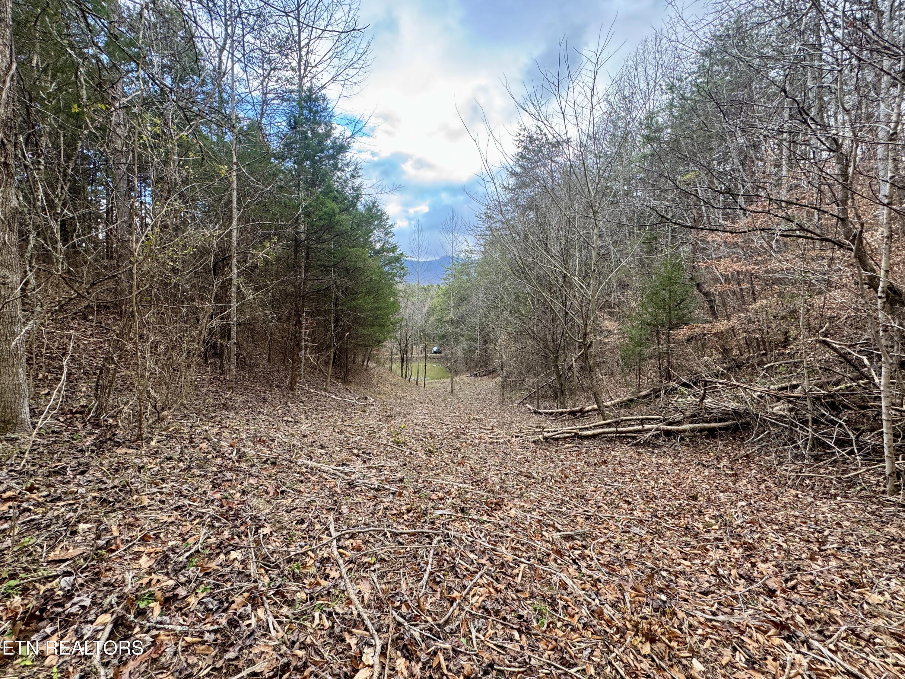 Sugar Loaf -13.5 acres Rd