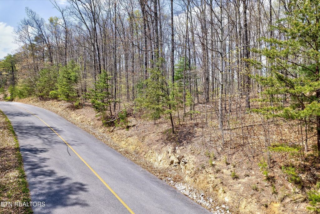 Photo of 125 Settlers View Lane, Sevierville, TN 37862 (MLS # 1309216)