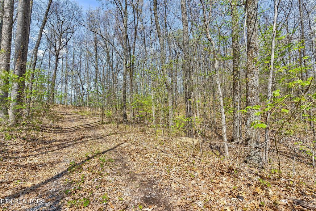 Photo of 125 Settlers View Lane, Sevierville, TN 37862 (MLS # 1309216)