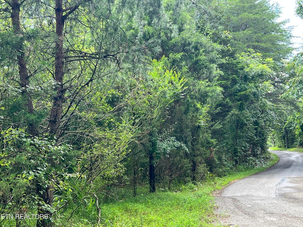 Photo of Lot 3 Prigmore Ridge Rd, Decatur, TN 37322 (MLS # 1310632)