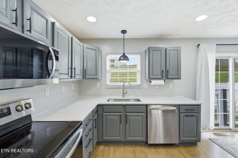 Tiny photo for 427 Eledge Farm Rd, Sevierville, TN 37876 (MLS # 1340511)