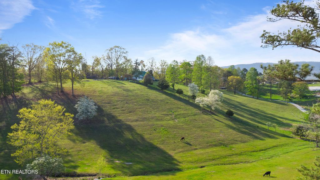 Photo of Mac Ivey Lane, LaFollette, TN 37766 (MLS # 1305993)