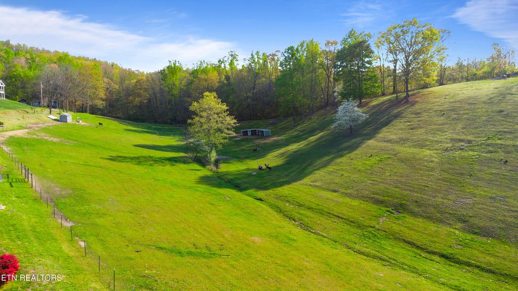 Photo of Mac Ivey Lane, LaFollette, TN 37766 (MLS # 1305993)
