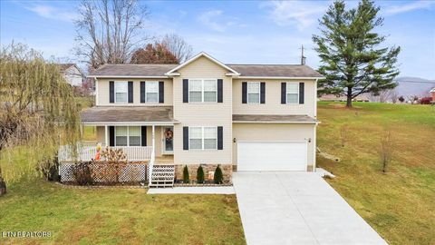 168 Thelma Circle Jacksboro TN 37757