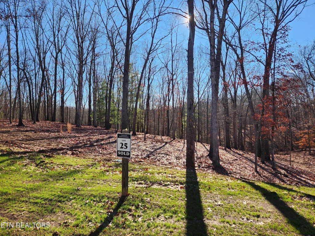 Photo of 184 Hammock Court, Loudon, TN 37774 (MLS # 1326553)