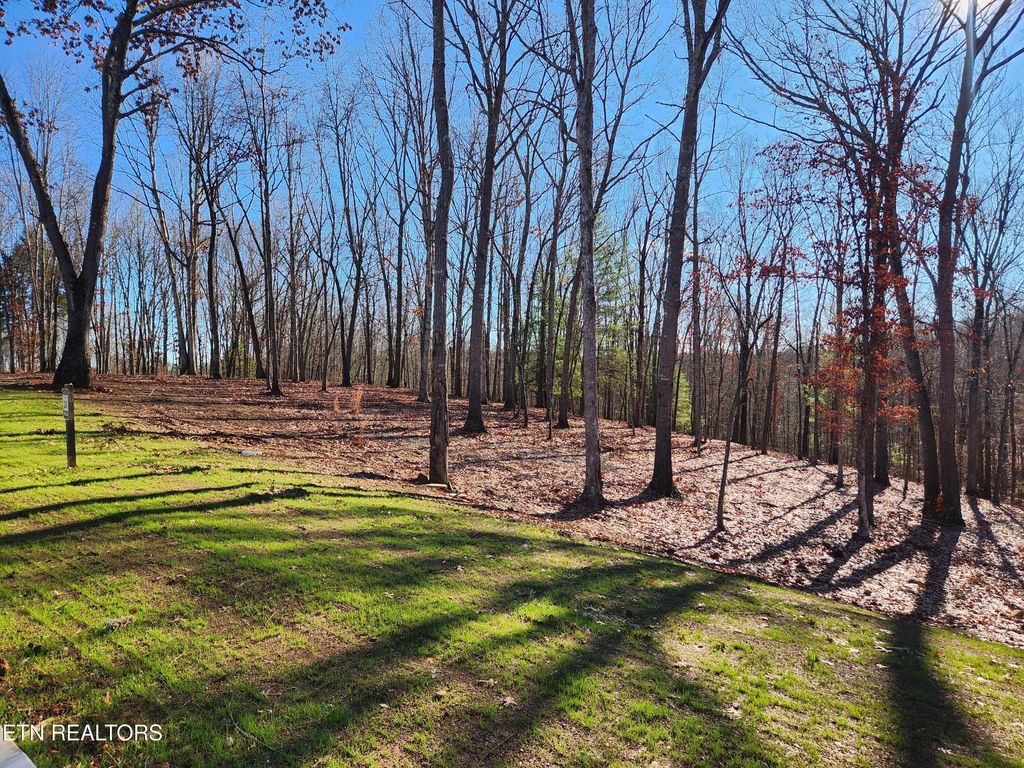 Photo of 184 Hammock Court, Loudon, TN 37774 (MLS # 1326553)