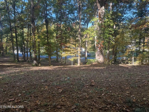 Tiny photo for 4340 York Rd, Knoxville, TN 37938 (MLS # 1360496)