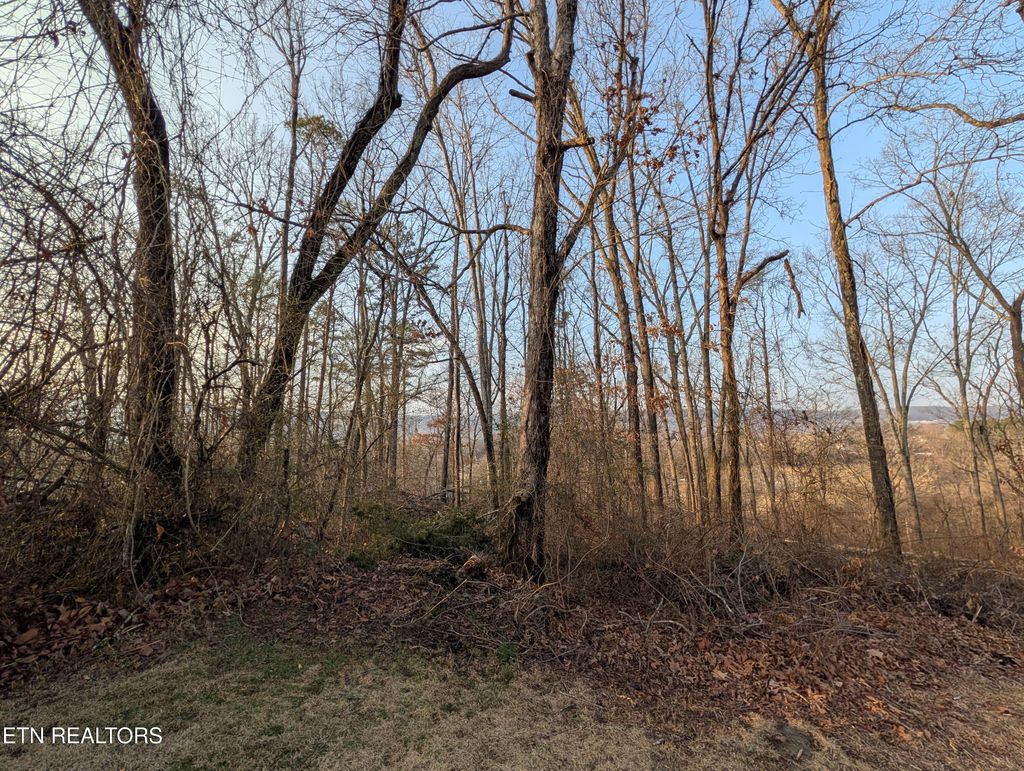 Photo of 000 Pine Breeze Circle, Rockwood, TN 37854 (MLS # 1330121)