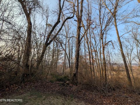Tiny photo for 000 Pine Breeze Circle, Rockwood, TN 37854 (MLS # 1330121)