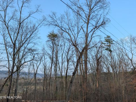 Tiny photo for 000 Pine Breeze Circle, Rockwood, TN 37854 (MLS # 1330121)