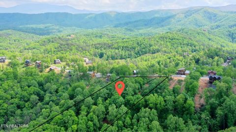 2733 Red Sky Drive Sevierville TN 37862