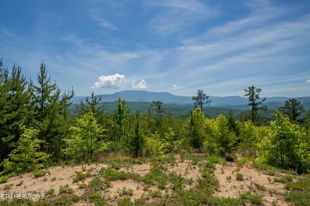 Photo of 1981 Fox View Lane, Sevierville, TN 37876 (MLS # 1339392)