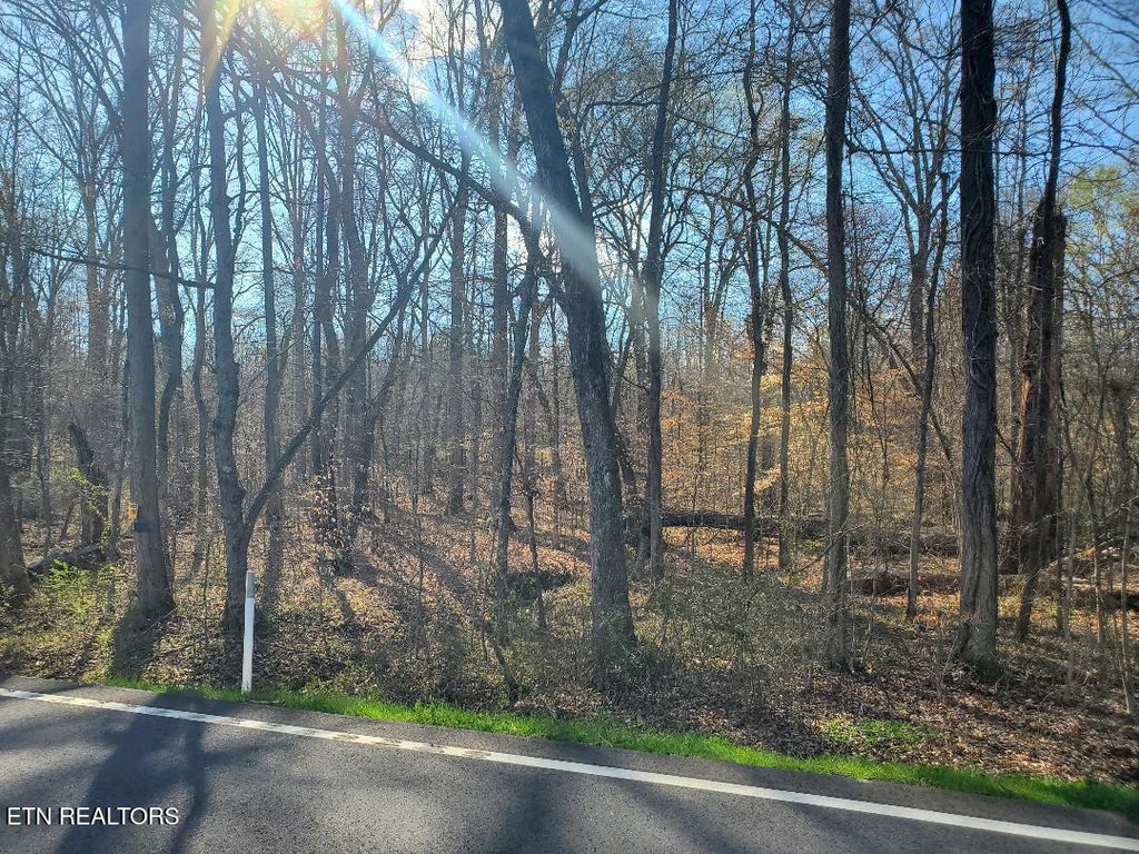 Photo of 8 Highway 304, Decatur, TN 37322 (MLS # 1294798)