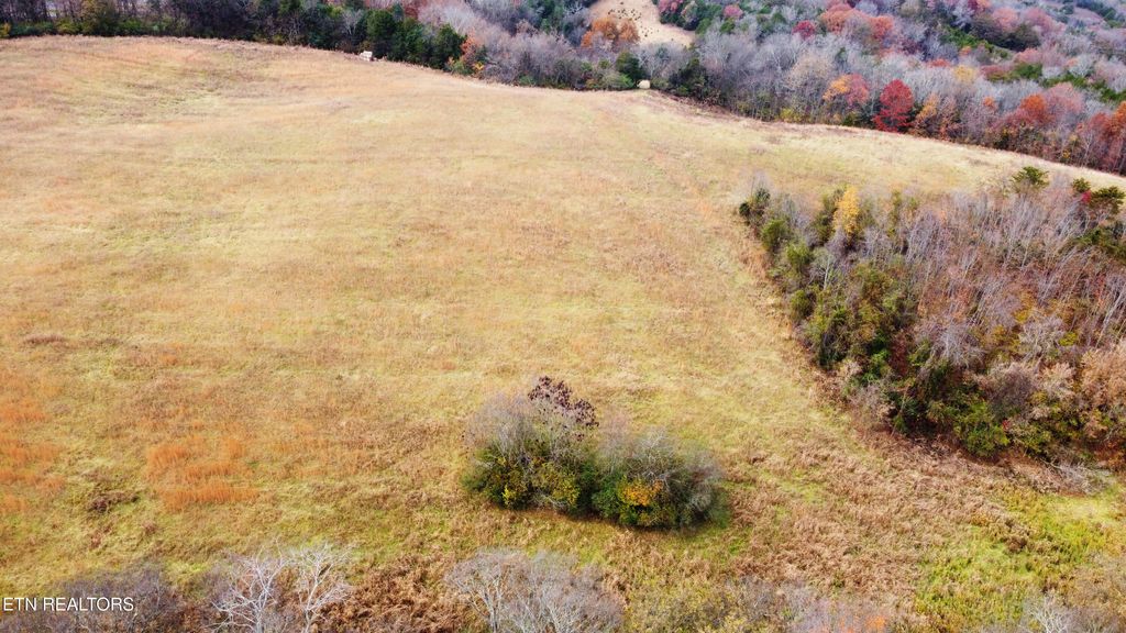 Photo of 152 Sulpher Springs Rd, Newport, TN 37821 (MLS # 1295341)