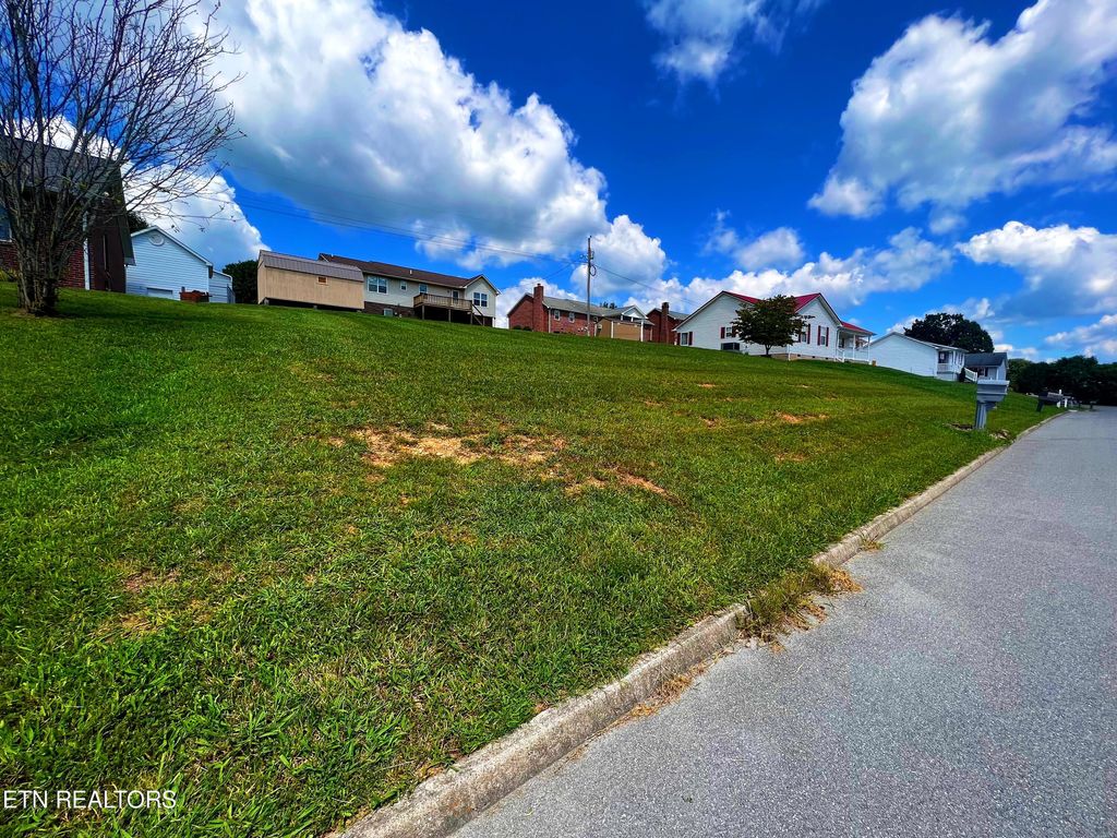 Photo of 143 Mallory Drive, New Tazewell, TN 37825 (MLS # 1238663)