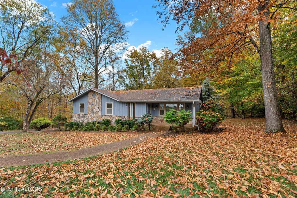 Photo of 222 Thomason Lane, Oliver Springs, TN 37840 (MLS # 1281514)