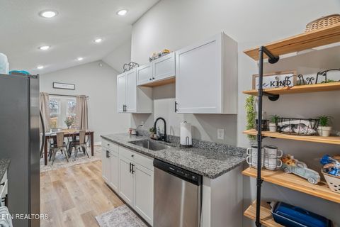 Tiny photo for 2457 Reed Rd, Ten Mile, TN 37880 (MLS # 1328710)