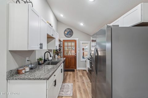 Tiny photo for 2457 Reed Rd, Ten Mile, TN 37880 (MLS # 1328710)