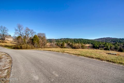 Tiny photo for Goodfield Terrace Rd, Decatur, TN 37322 (MLS # 1324722)