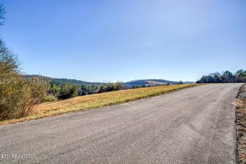 Tiny photo for Goodfield Terrace Rd, Decatur, TN 37322 (MLS # 1324722)