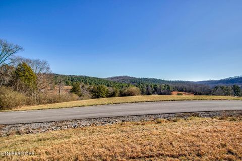 Tiny photo for Goodfield Terrace Rd, Decatur, TN 37322 (MLS # 1324722)