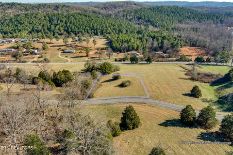 Tiny photo for Goodfield Terrace Rd, Decatur, TN 37322 (MLS # 1324722)
