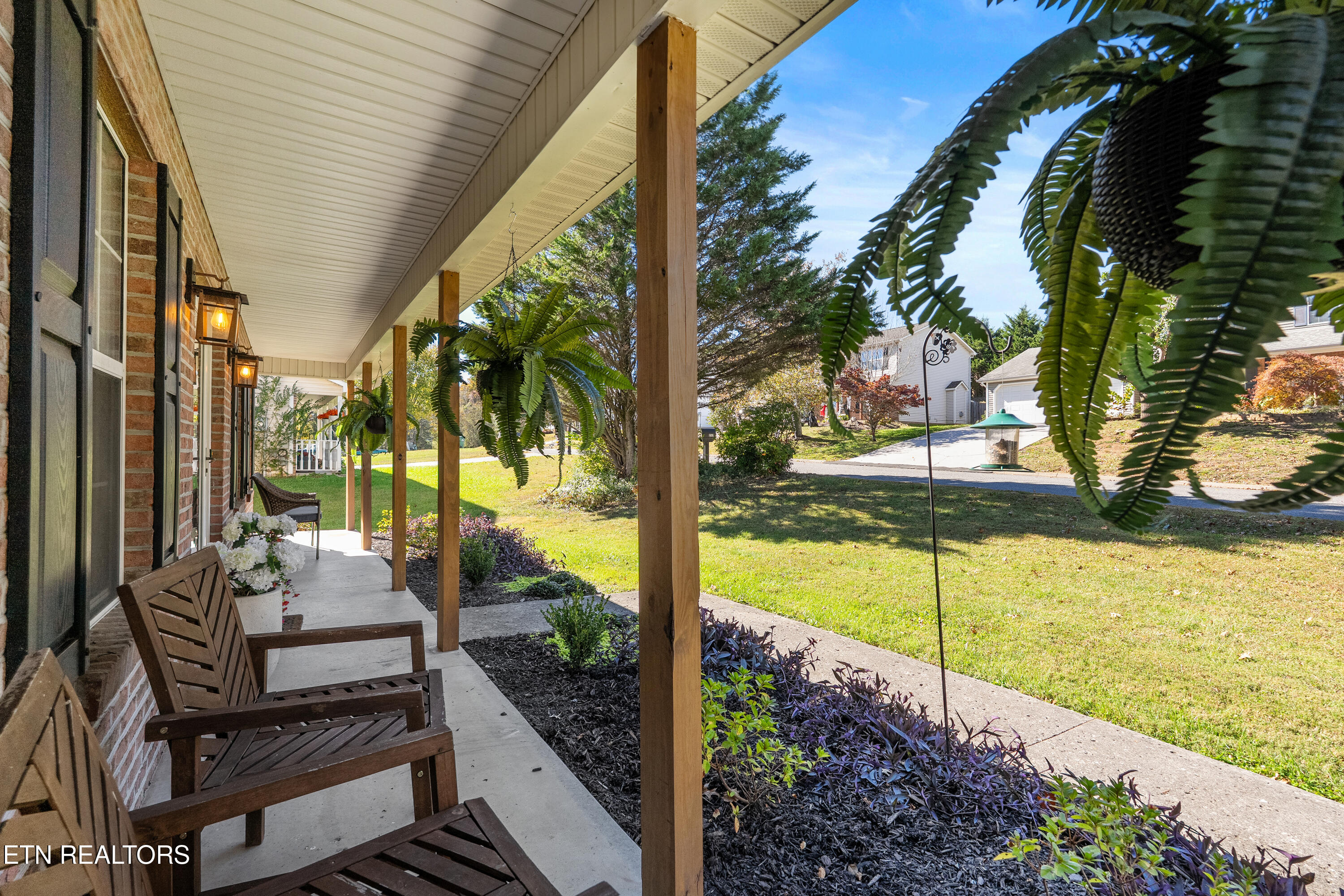 8223 Jack Russell Court