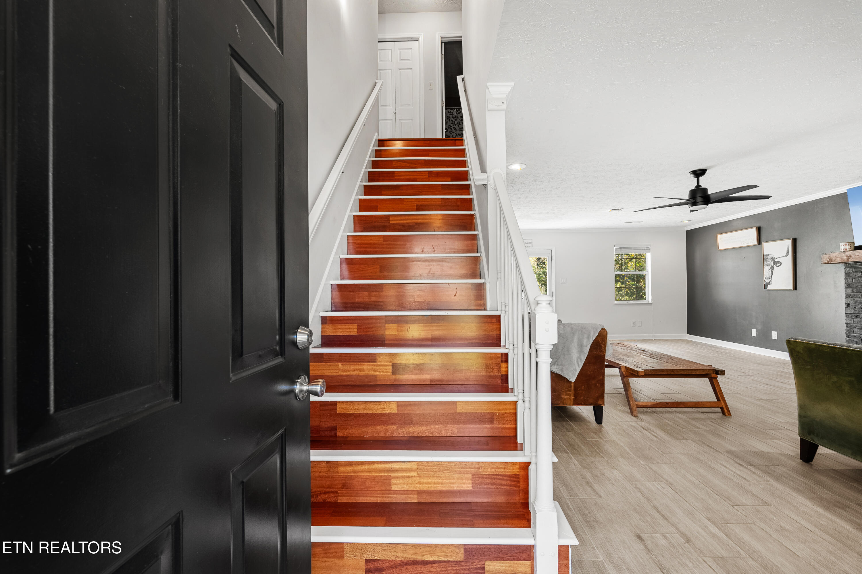 8223 Jack Russell Court