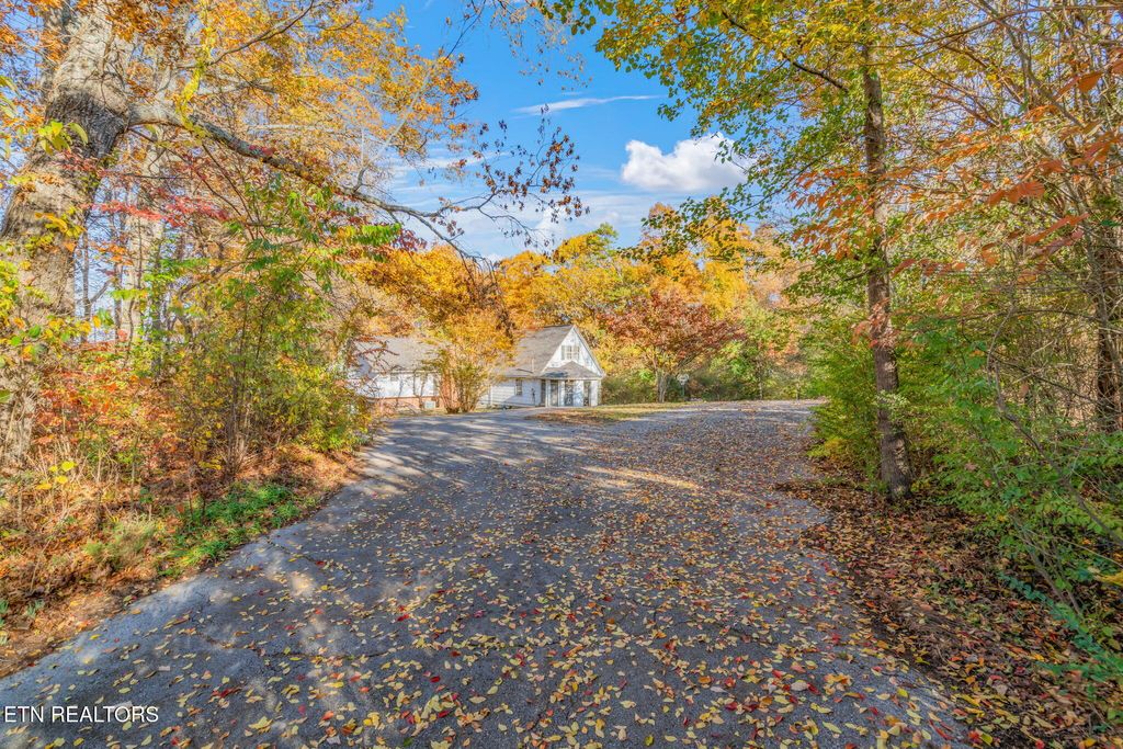 Photo of 3607 Airport Rd, Rockwood, TN 37854 (MLS # 1321112)