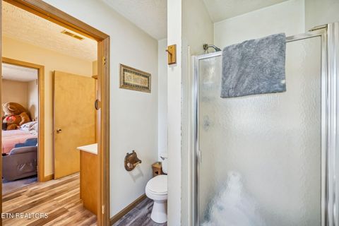 Tiny photo for 3514 Ginseng Way, Sevierville, TN 37862 (MLS # 1324571)