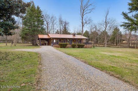 Photo of 3514 Ginseng Way, Sevierville, TN 37862 (MLS # 1324571)